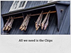 All wew need is chips.jpg